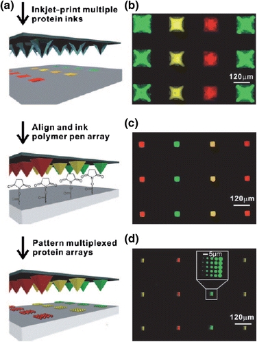 Figure 6