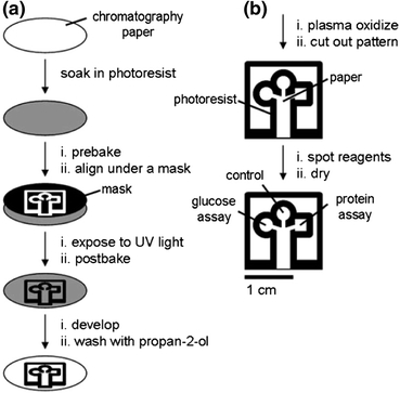 Figure 1