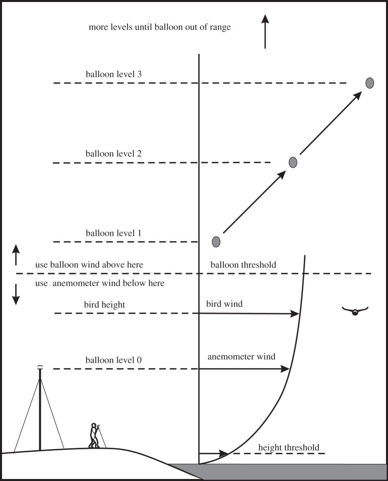 Figure 4.