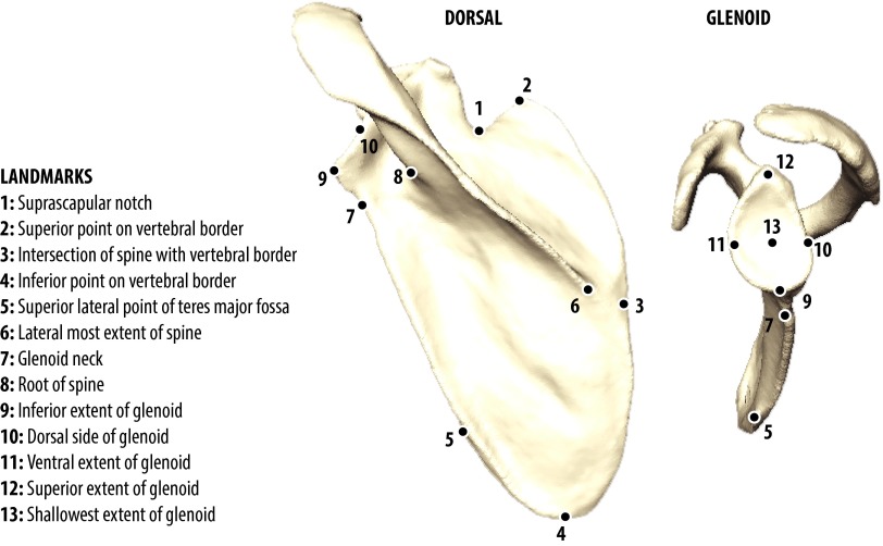 Fig. S6.