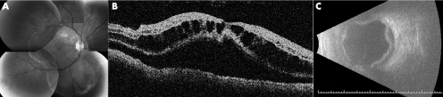 graphic file with name bj98723.f2.jpg