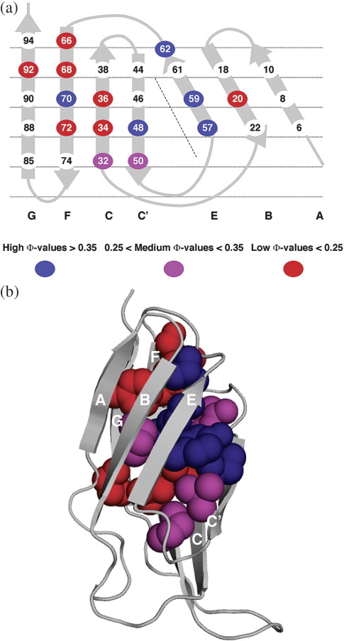 Fig. 8