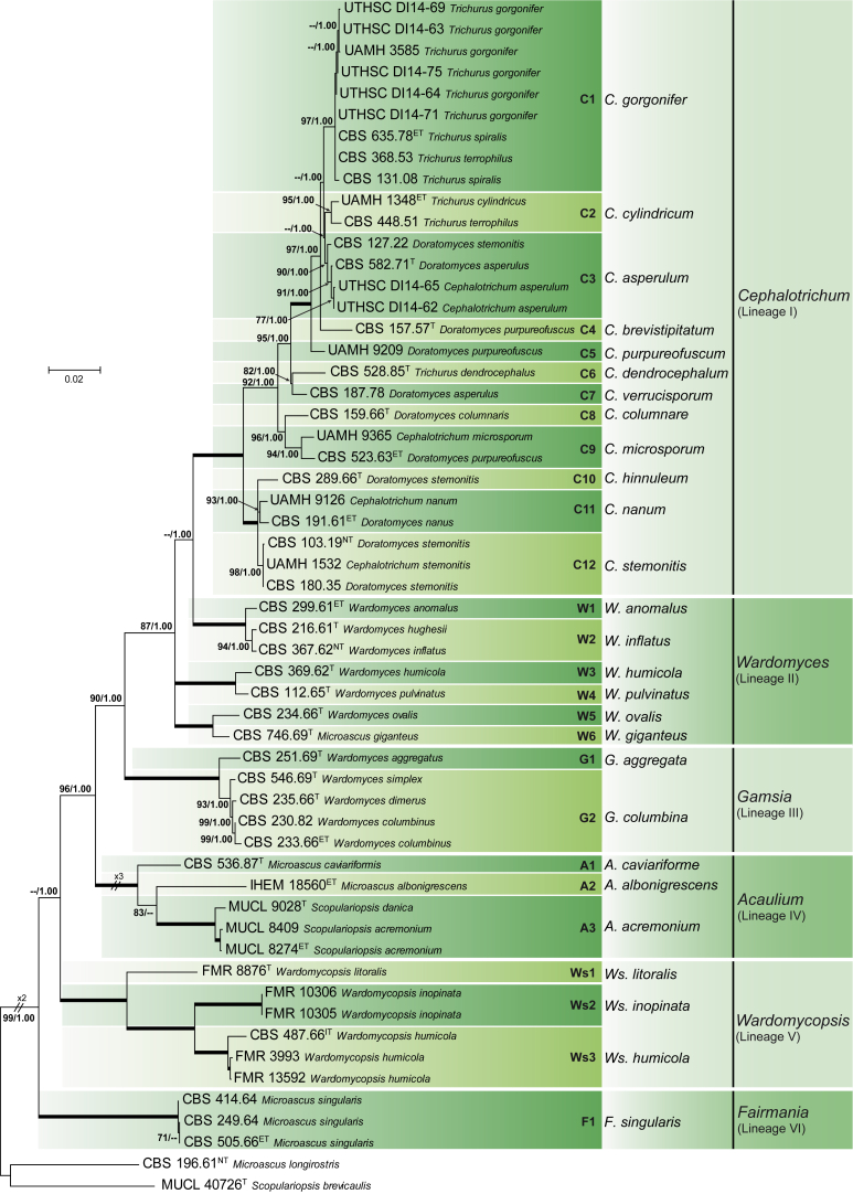 Fig. 1