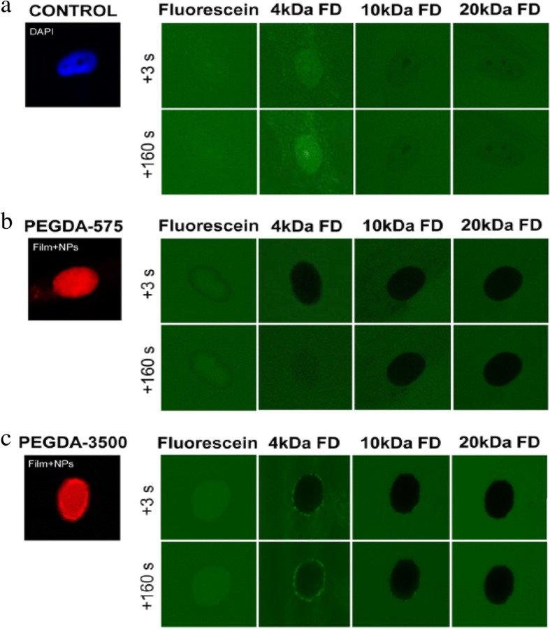 Fig. 17