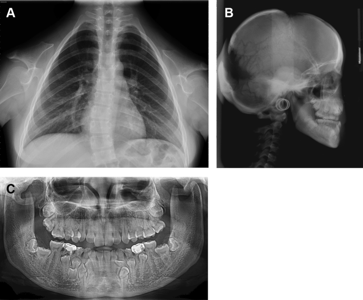 Figure 1