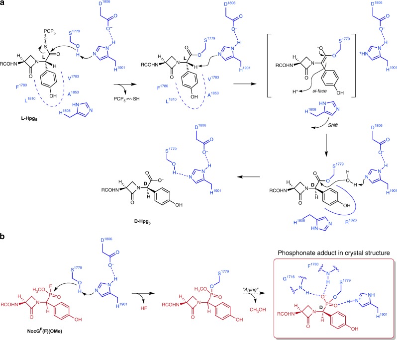 Fig. 8