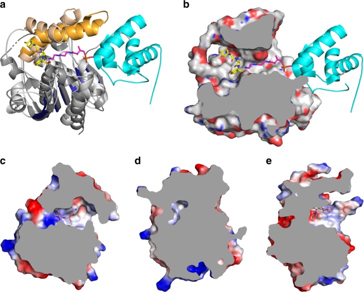 Fig. 6