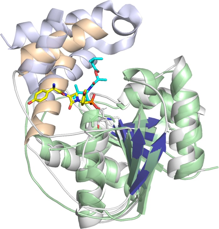 Fig. 7