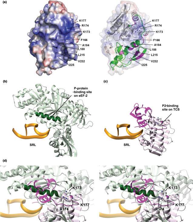 Figure 7.