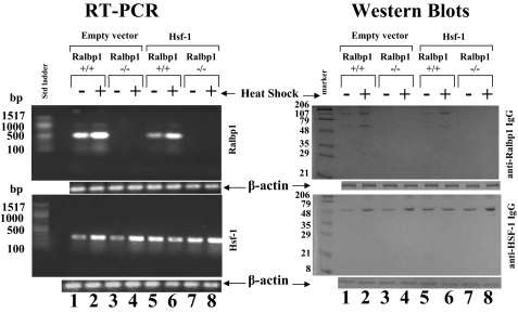 FIGURE 11.