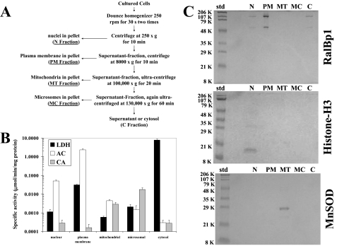 FIGURE 13.