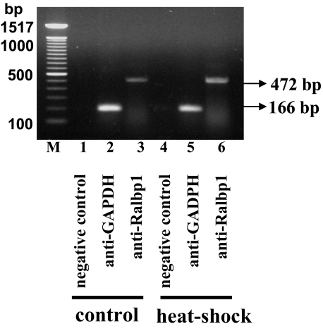 FIGURE 15.