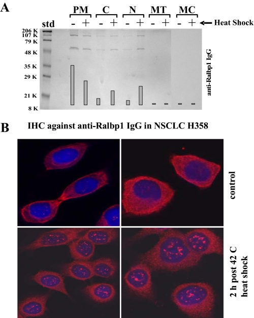 FIGURE 14.