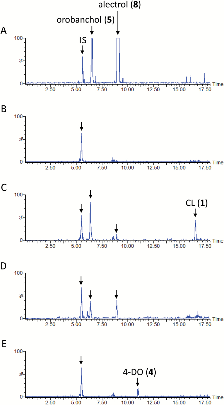 Fig. 7.