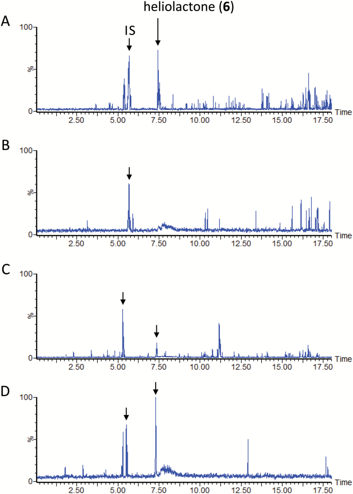 Fig. 8.