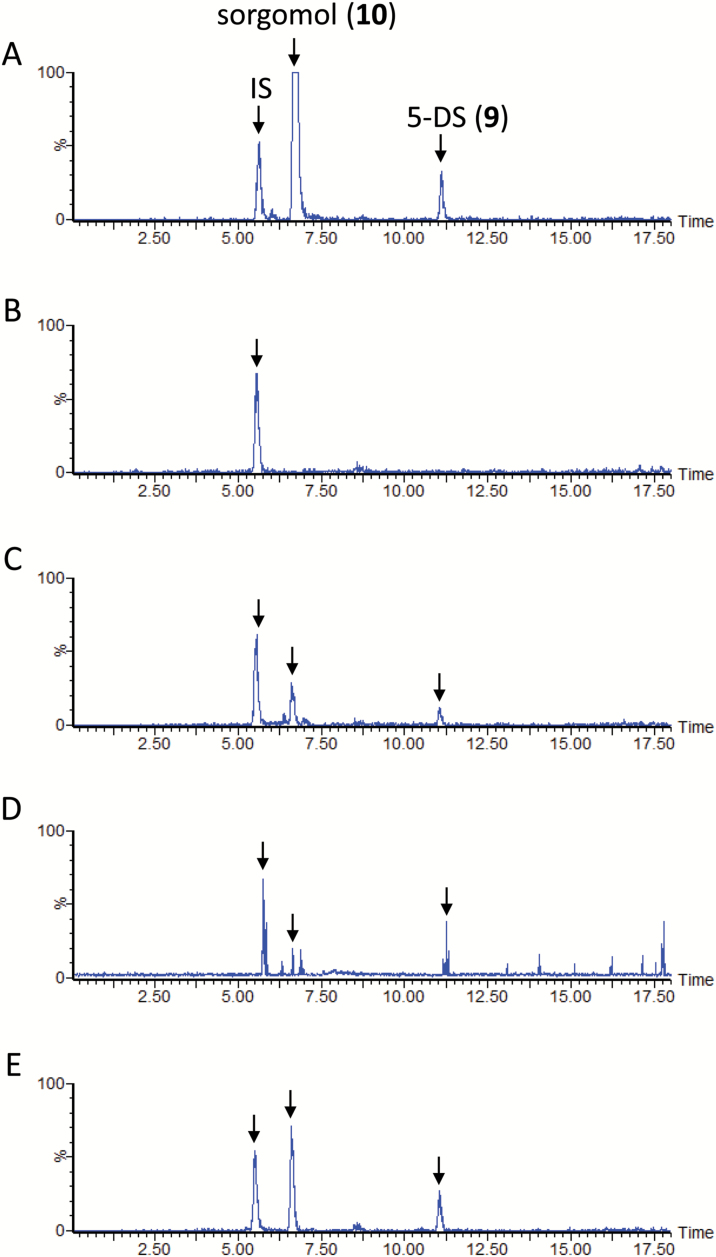 Fig. 2.