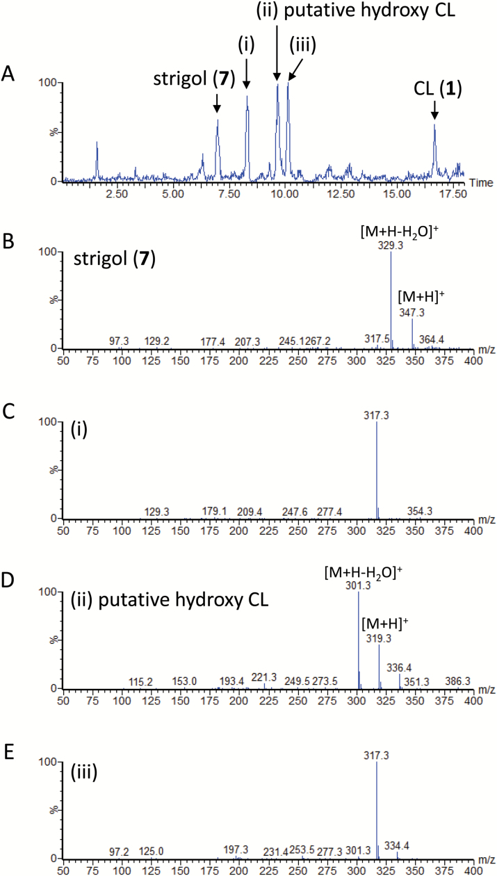 Fig. 6.