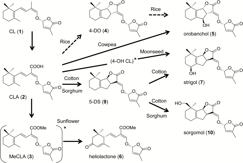 Fig. 9.