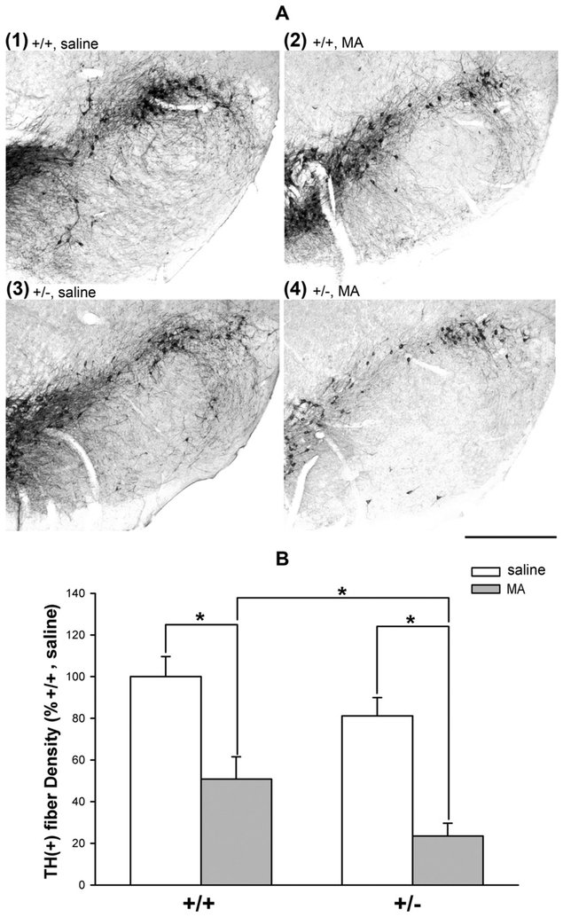 Fig. 7.