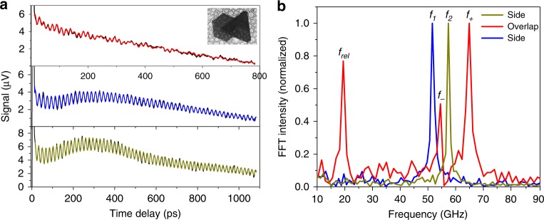 Fig. 3