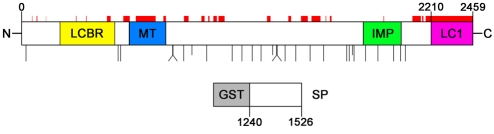 Fig. 1.