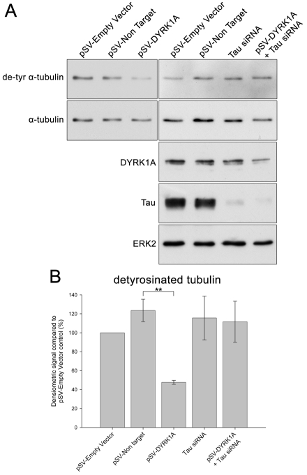 Fig. 9.