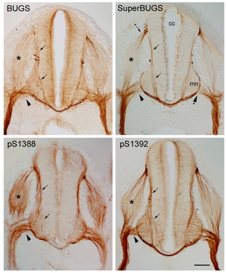 Fig. 3.