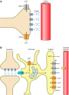 Figure 11.