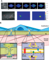 Figure 9.