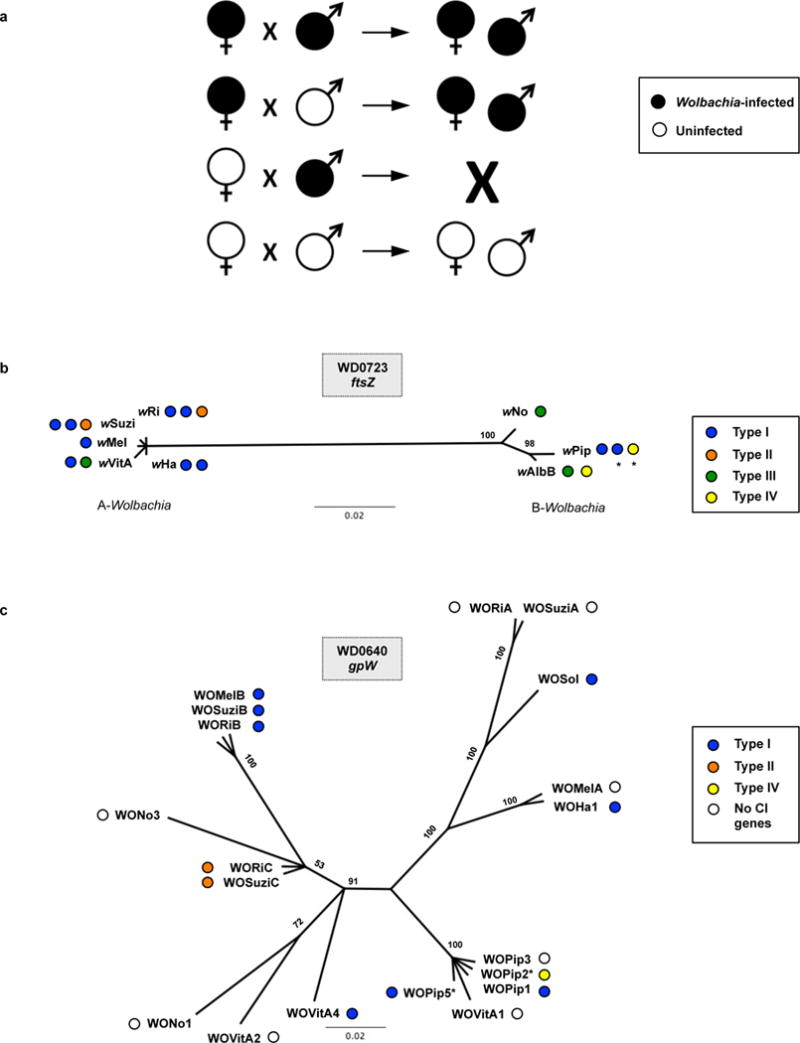 Extended Data Figure 1