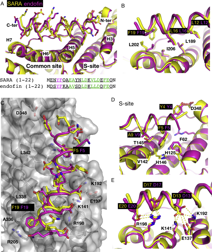 Figure 6