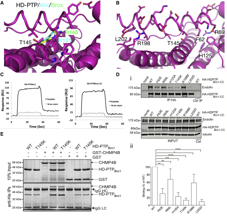 Figure 7