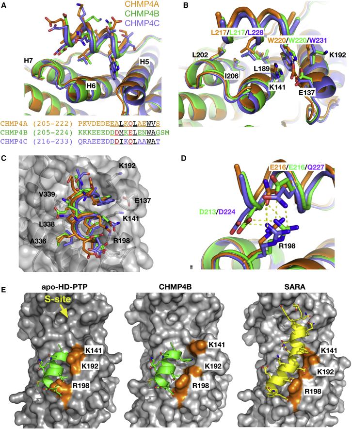 Figure 5