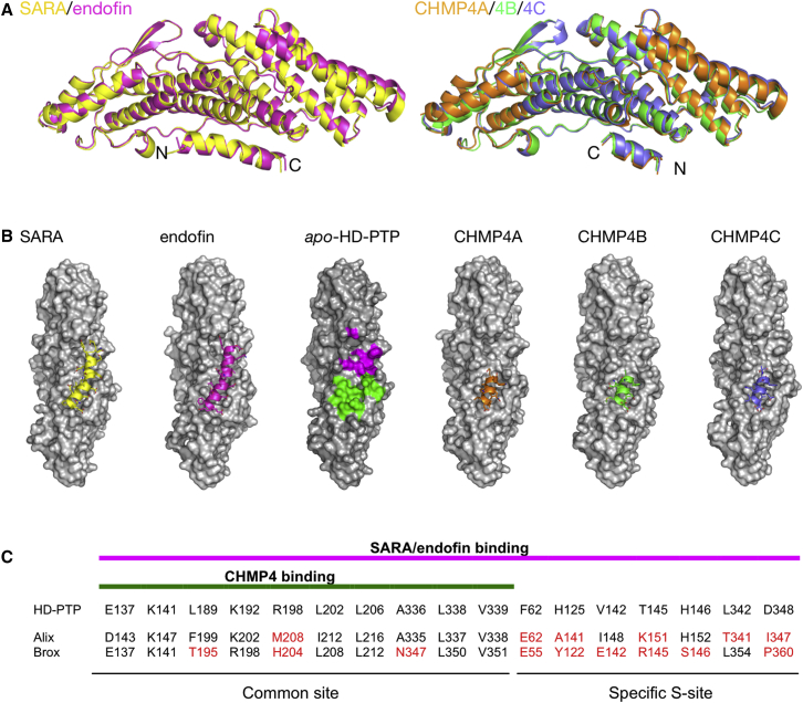 Figure 4