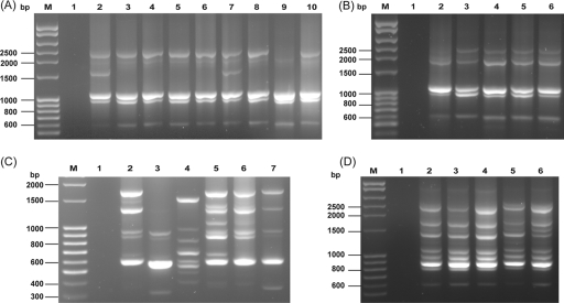 FIG. 2.