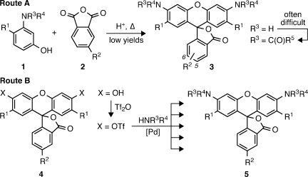 Scheme 1