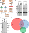 FIG 1