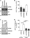 FIG 6