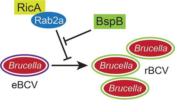 FIG 6