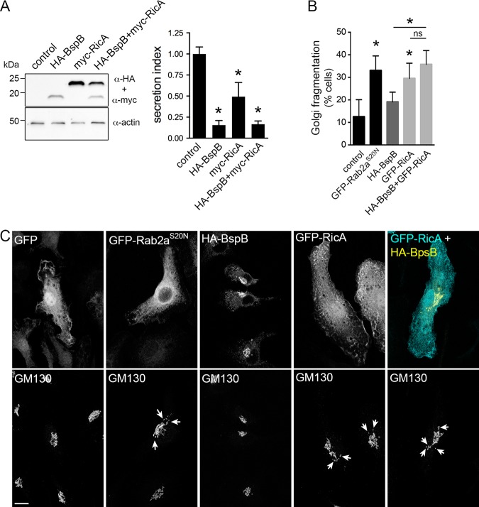 FIG 3