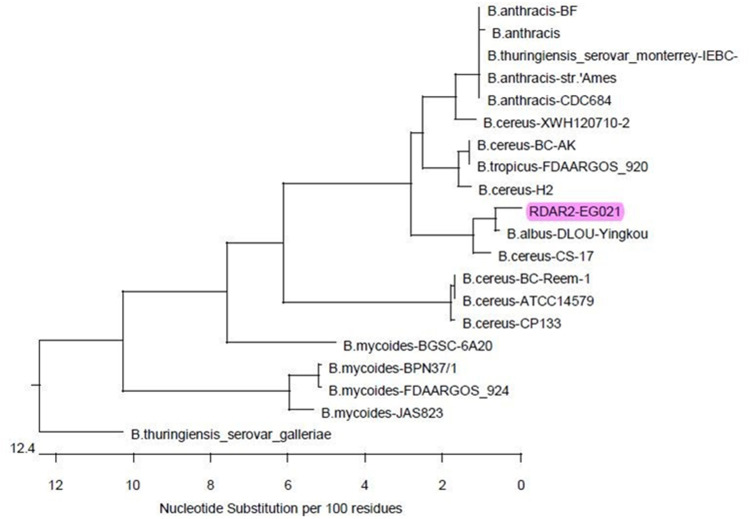 Figure 4