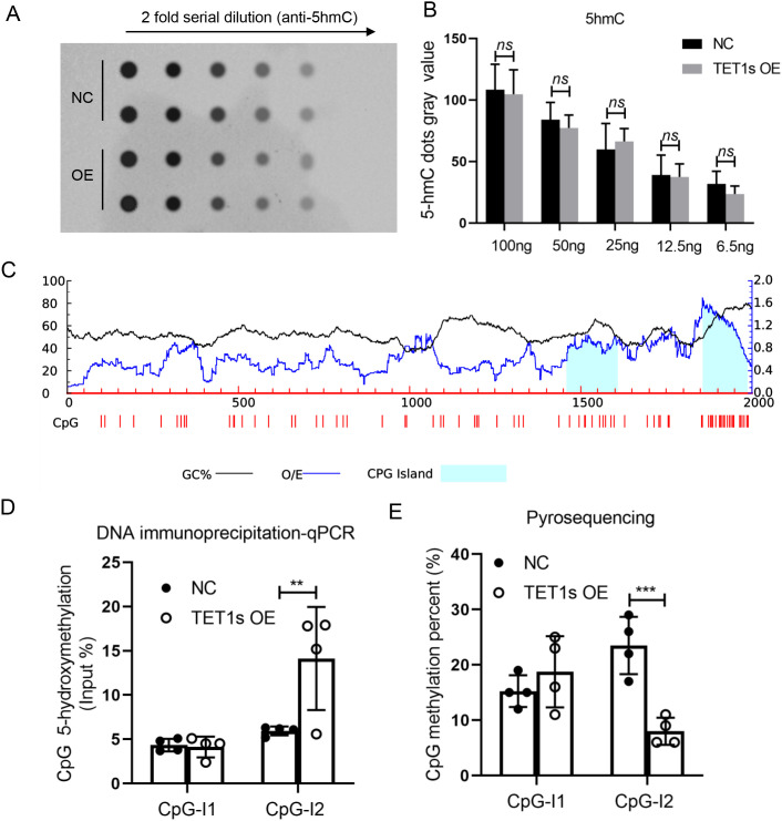 FIG. 9.