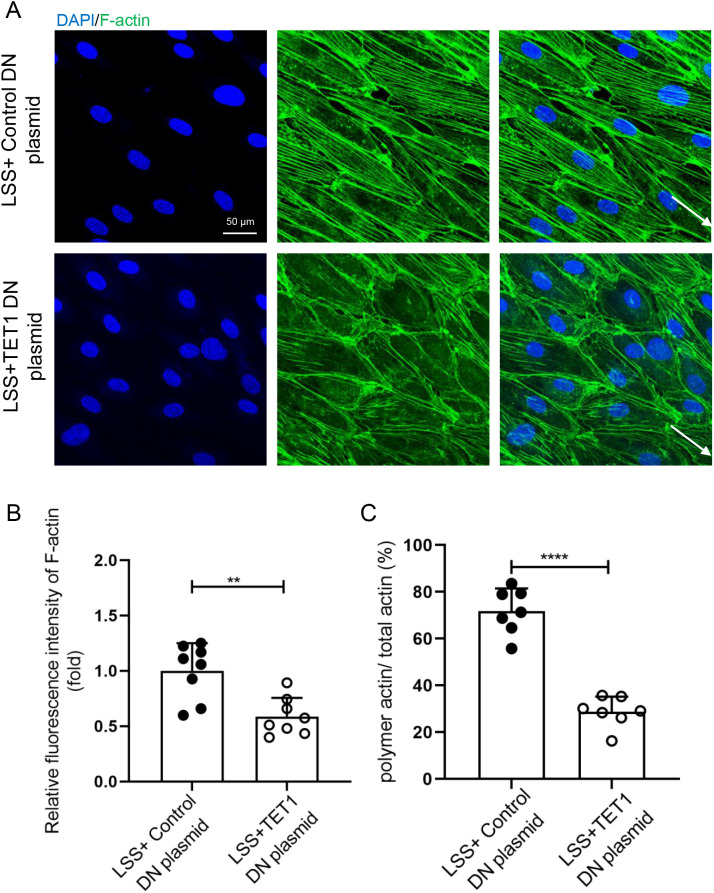 FIG. 6.