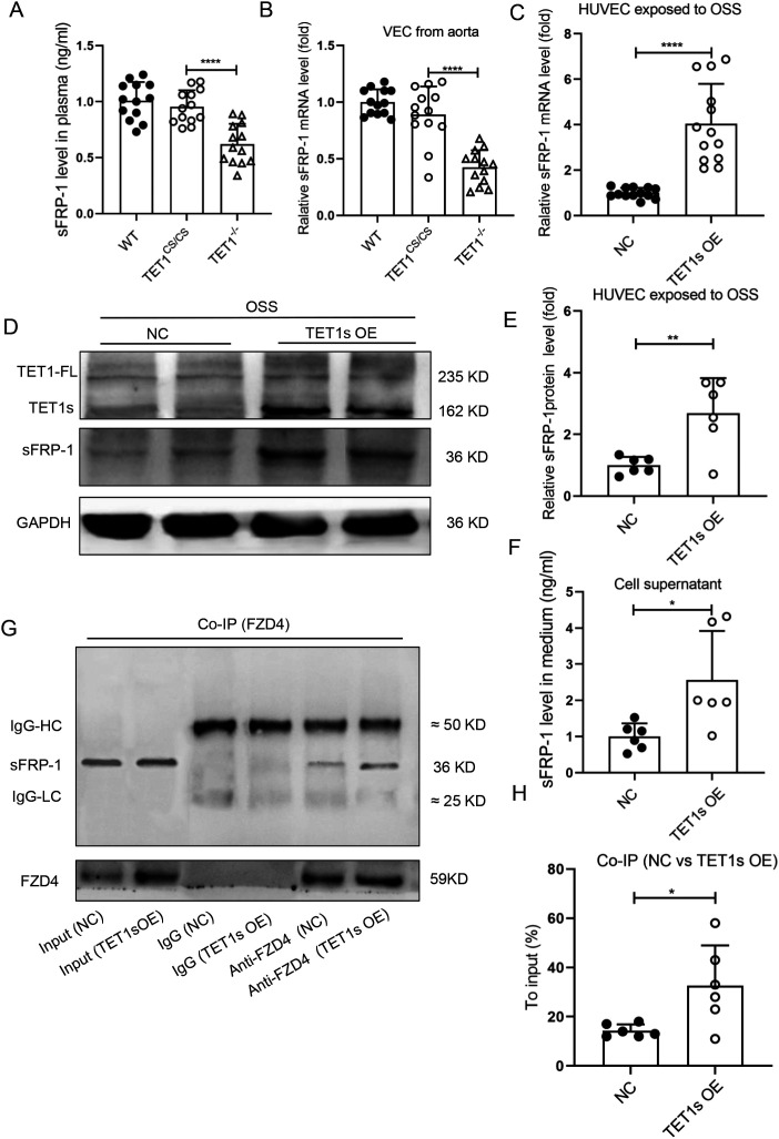 FIG. 7.