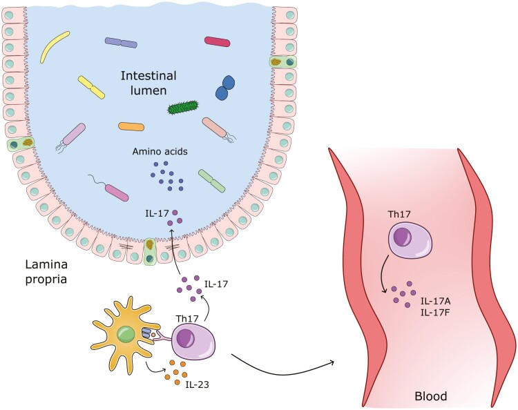 Graphical Abstract