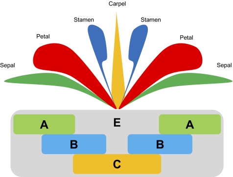 Fig. 1.