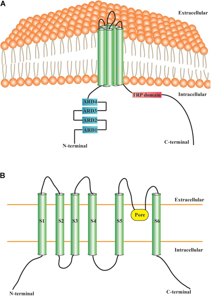 FIGURE 1