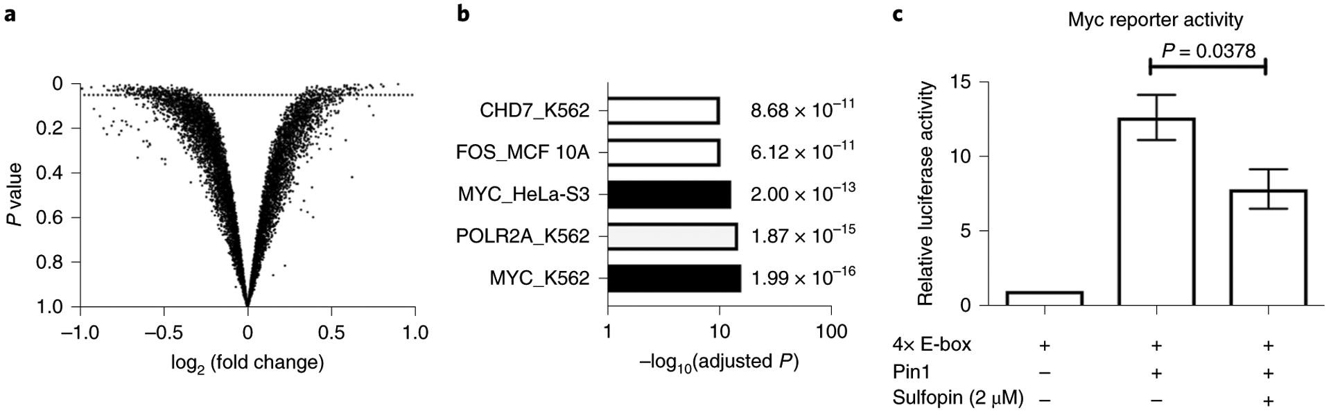 Fig. 5 |