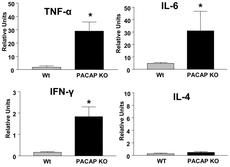 Fig. 10