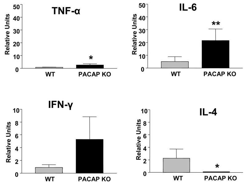 Fig. 11